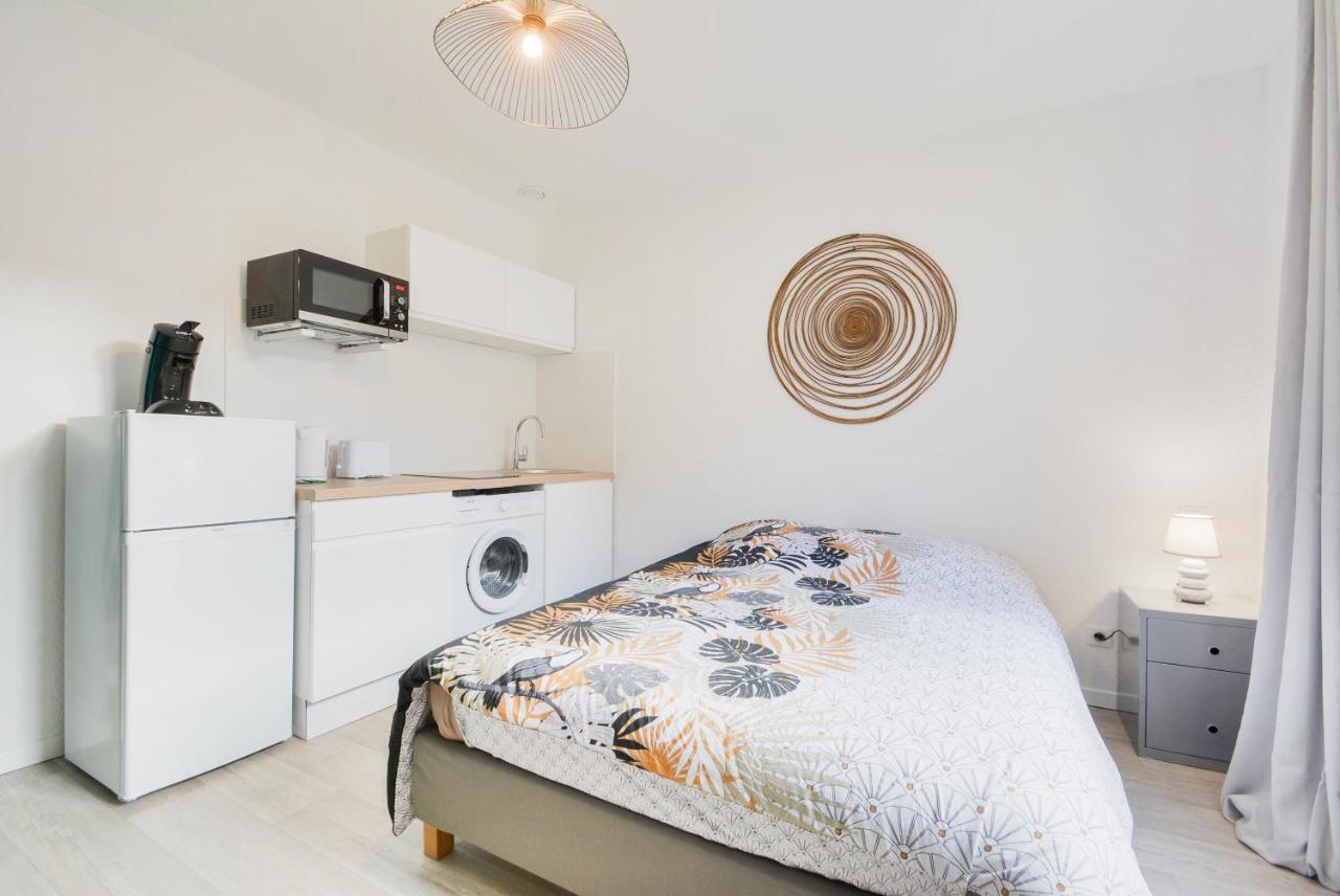 Gare - Stanislas Appartement Nancy